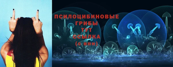 хмурый Киренск