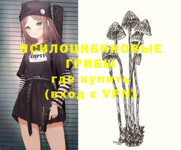 хмурый Киренск