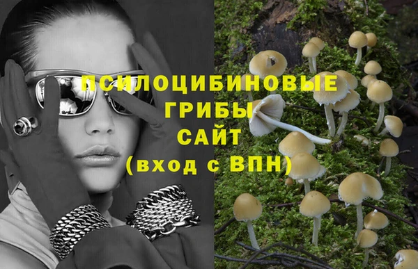 хмурый Киренск