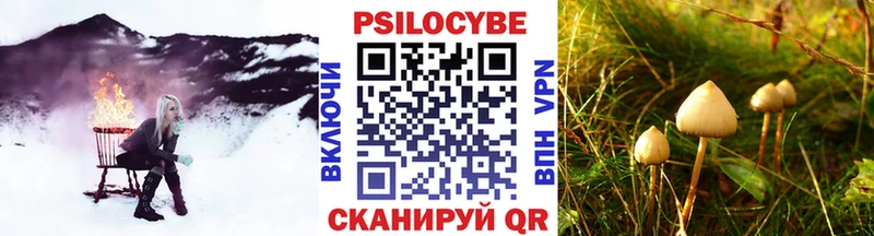Галлюциногенные грибы ЛСД  Купить где  Бикин 